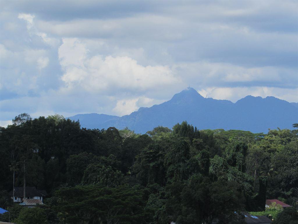 mountain