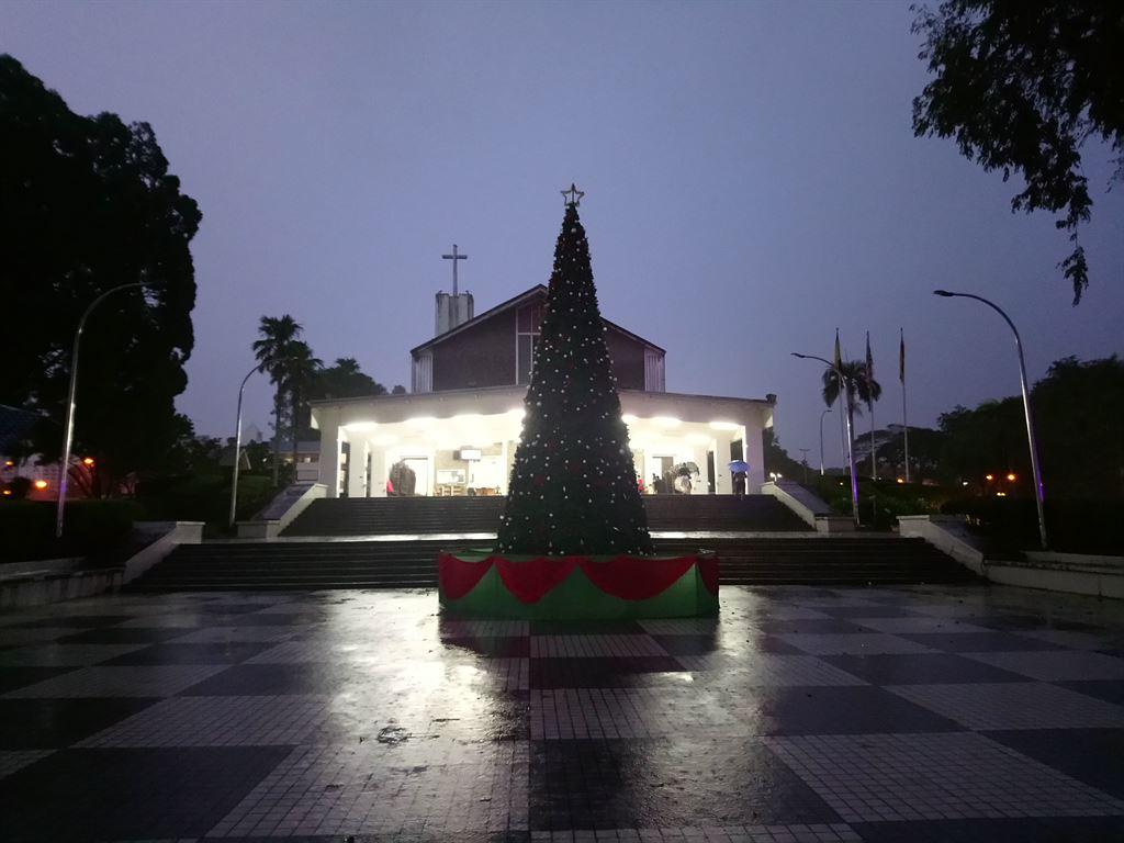 tree