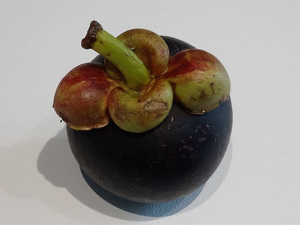 mangosteen