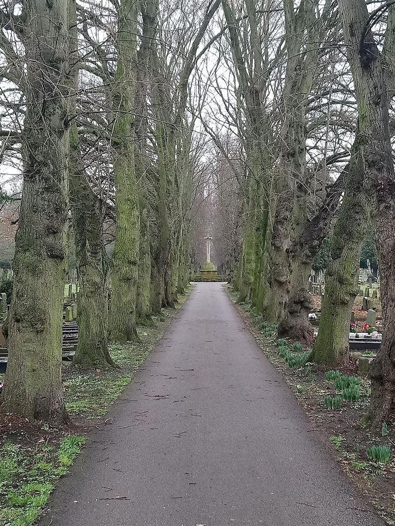 alley