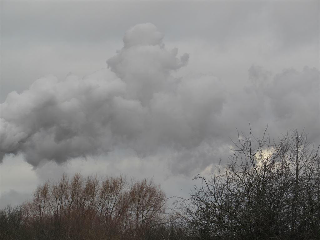 steam