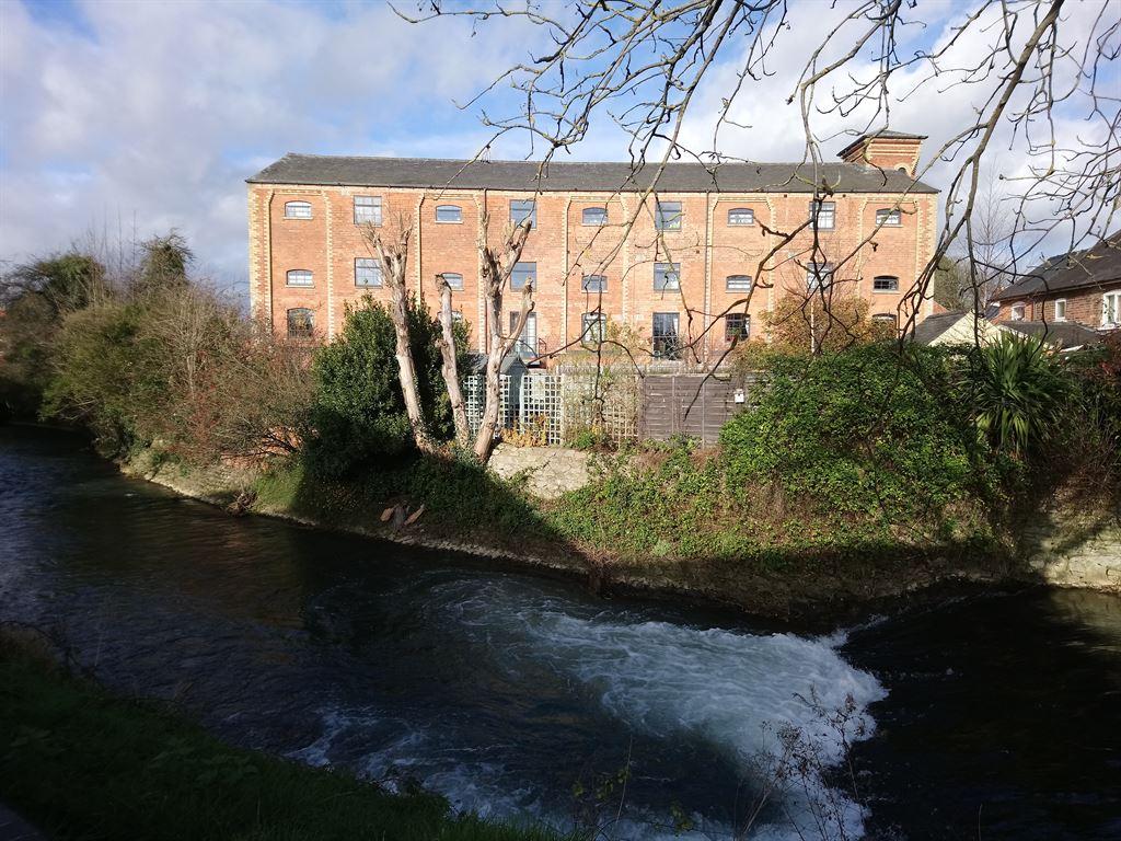 weir2