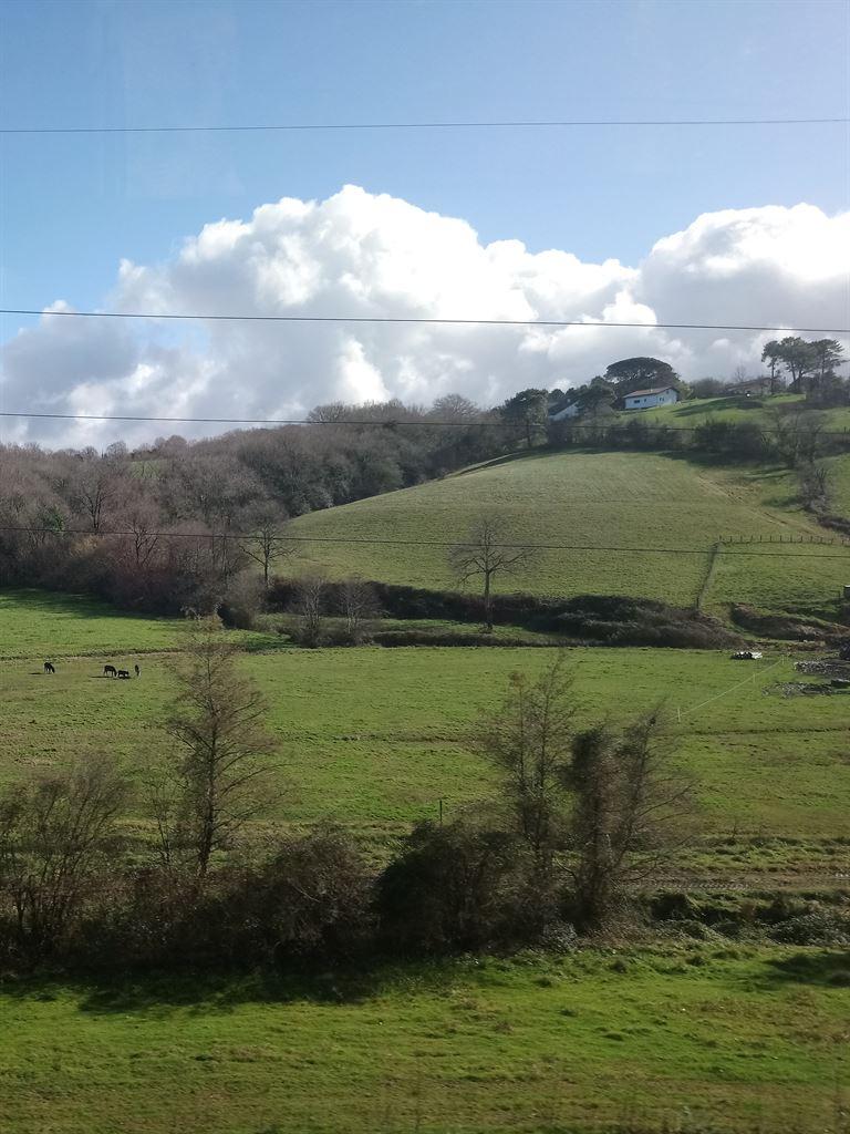 view2