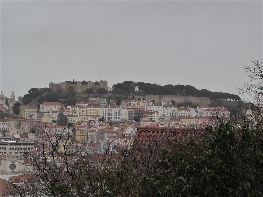 view