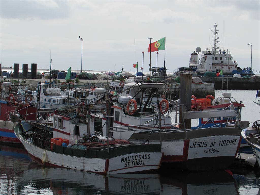 harbour