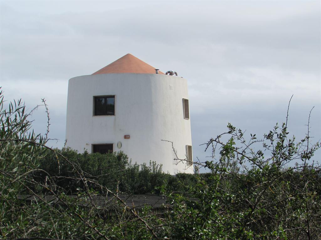 windmill