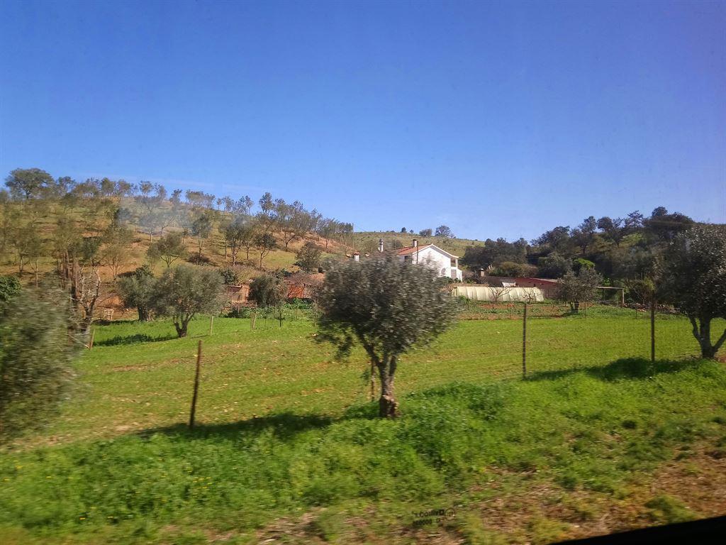 fields2