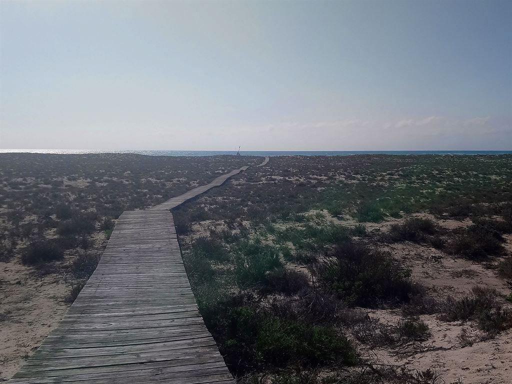 boardwalk