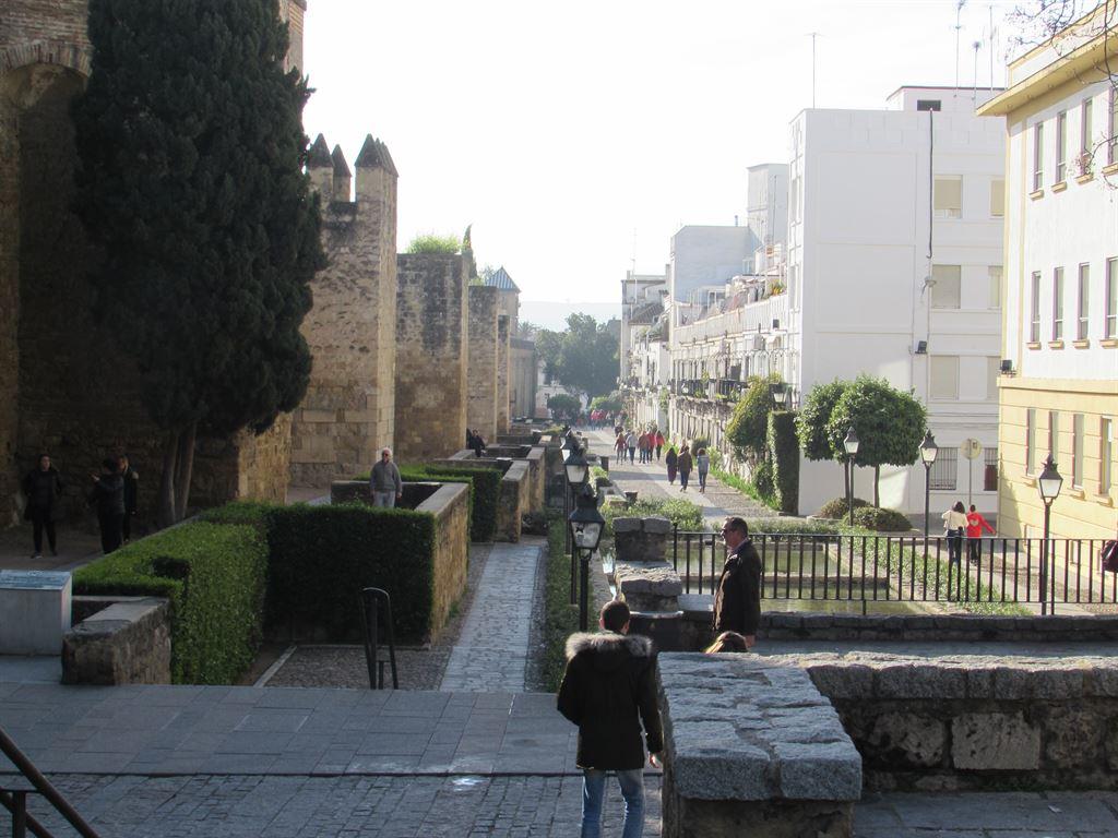 walls