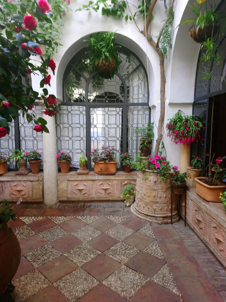patio2