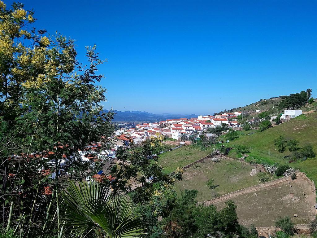 view1