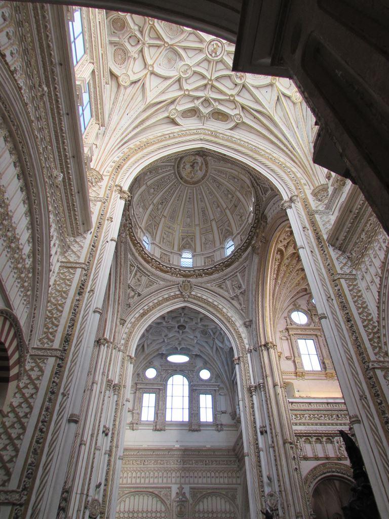lookingup2