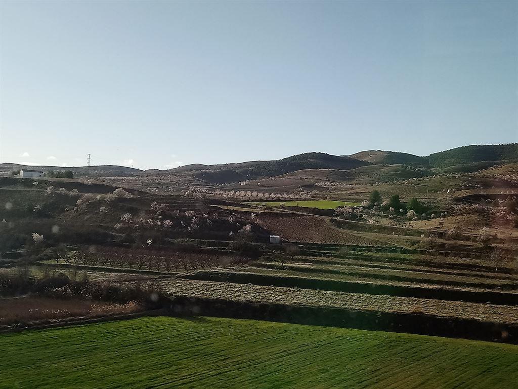 scenery2