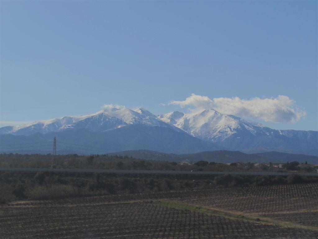 pyrenees