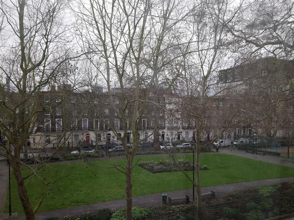 argylesquare