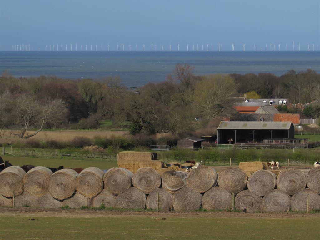 bales