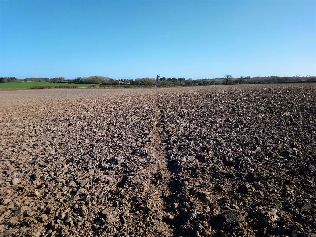 field1