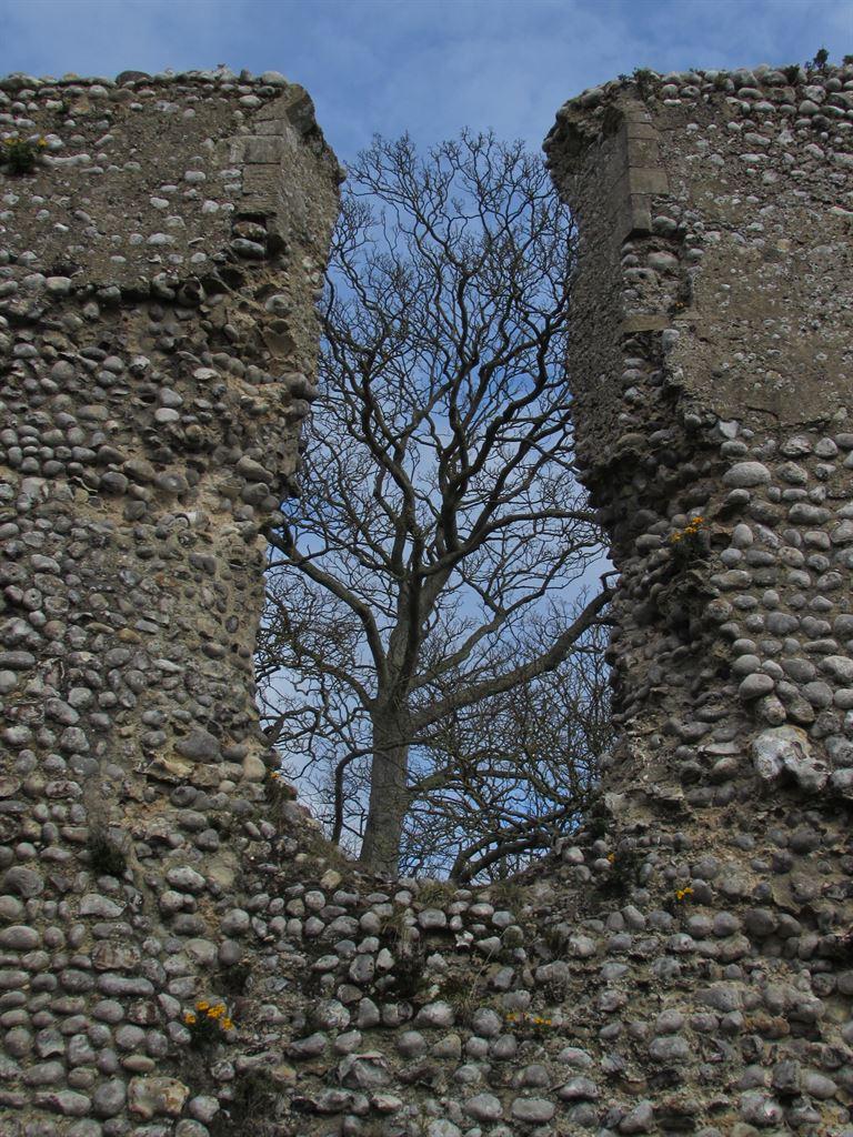 priorygap