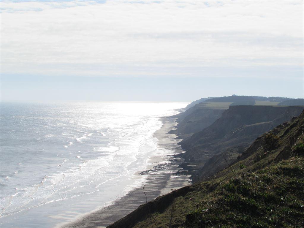 view1