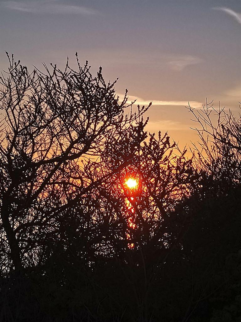 sunrise3