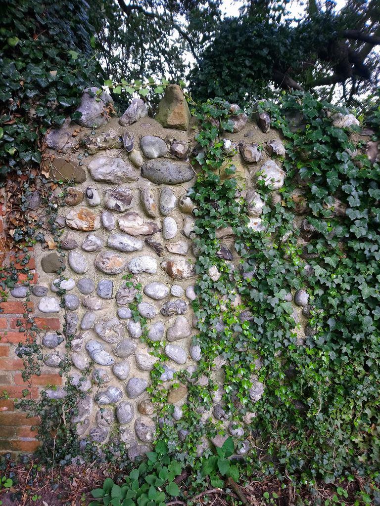 wall