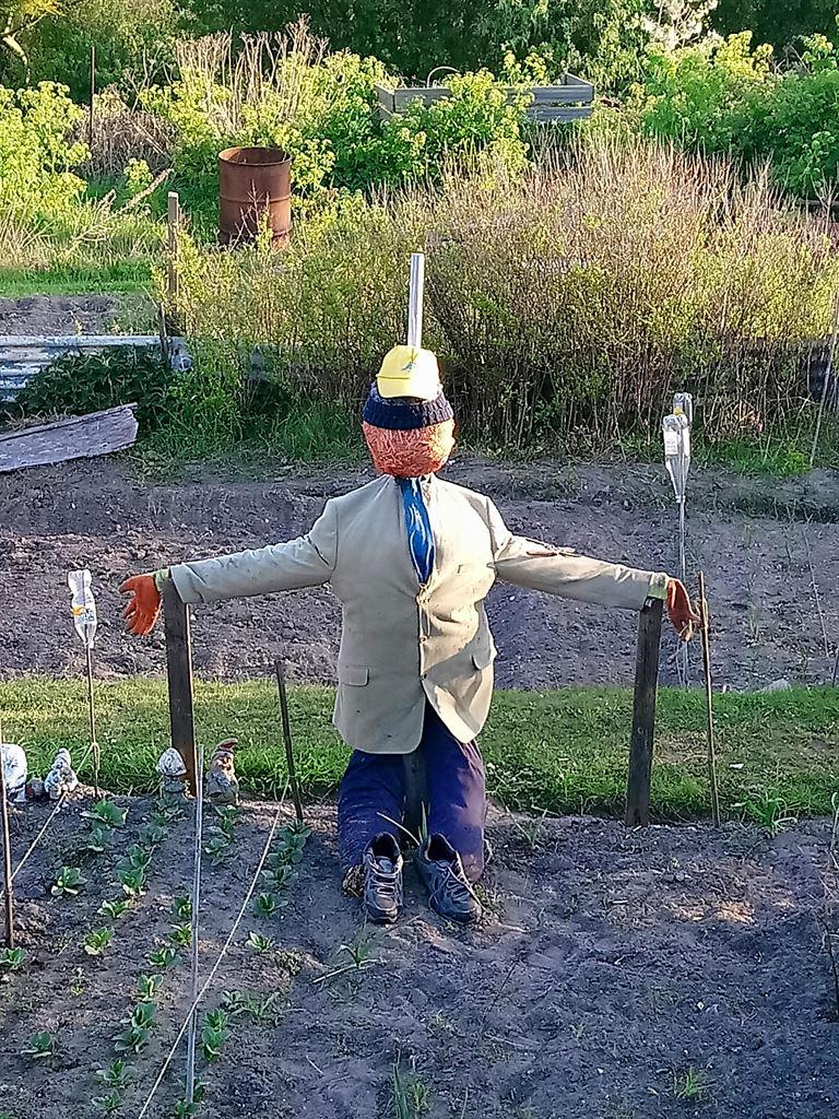 scarecrow