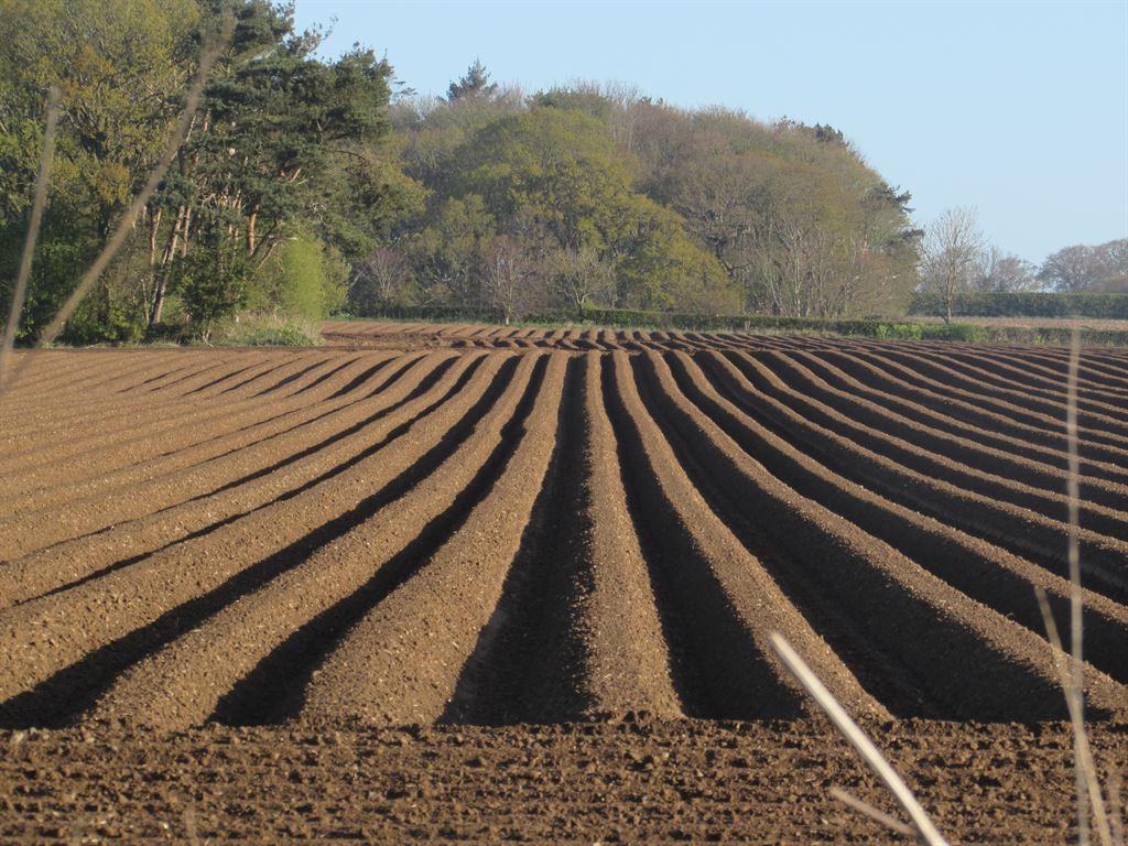 field1