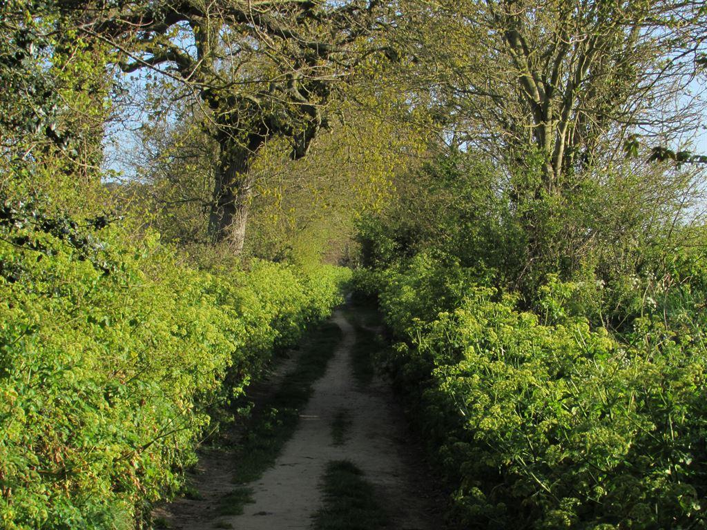 path1