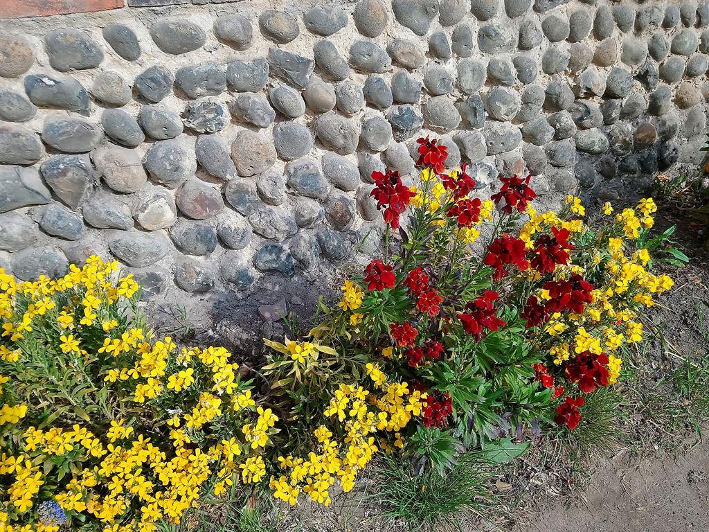 flowers