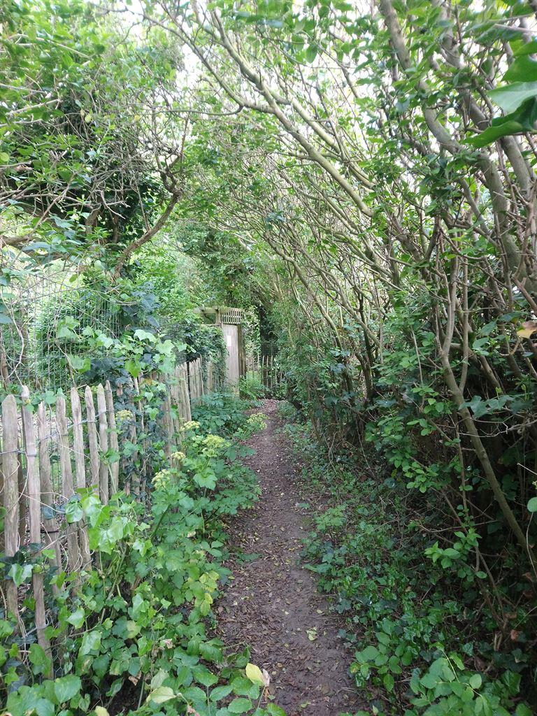 path