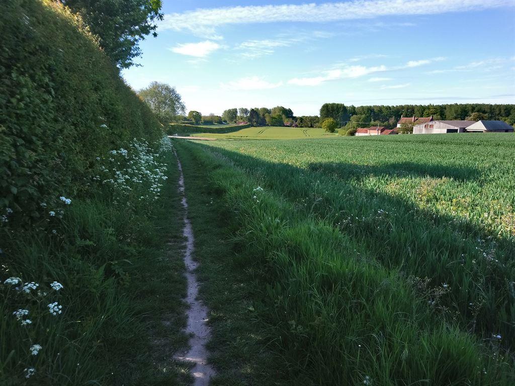 path
