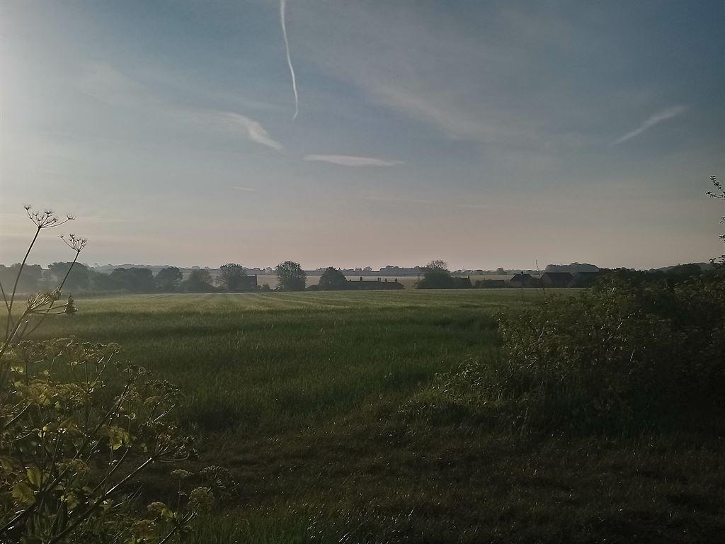 morning1