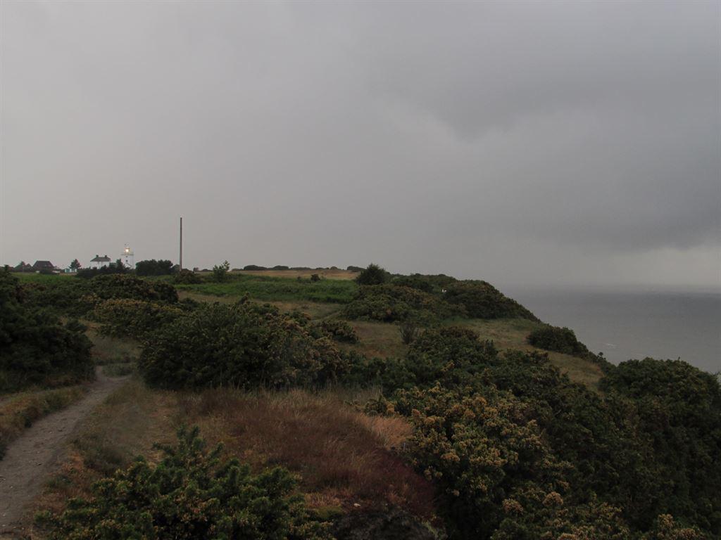 gloom