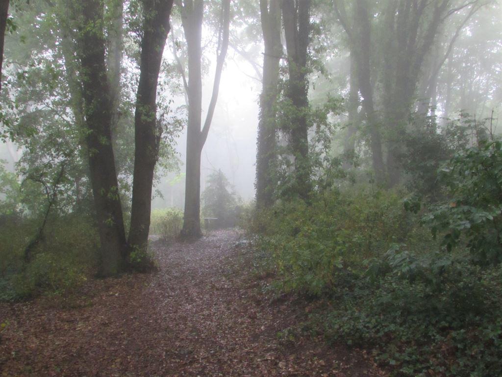 mist