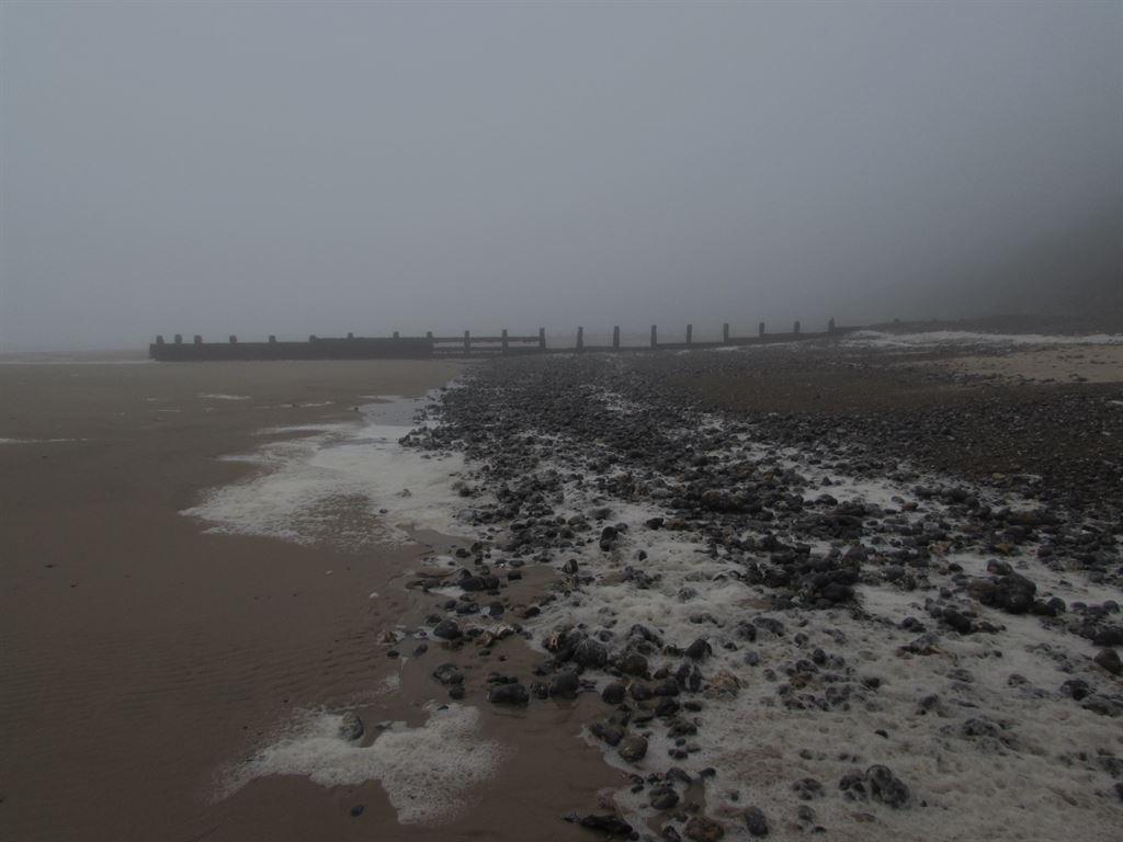 beach1