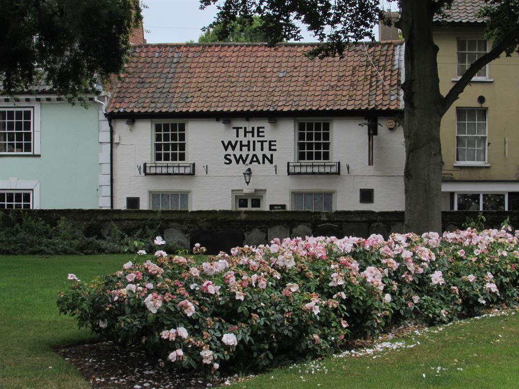 whiteswan