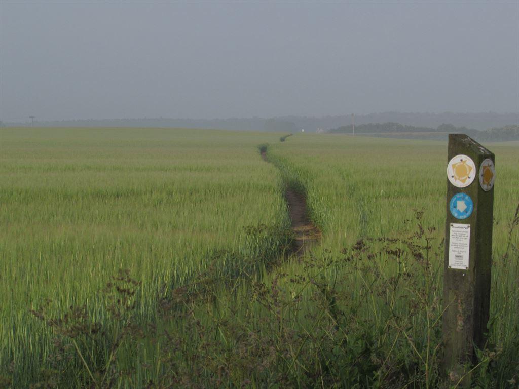 fieldpath