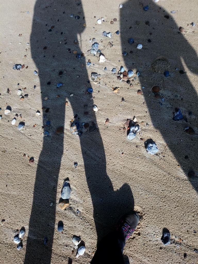 shadows