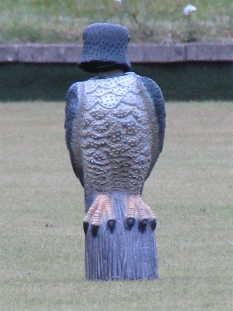 birdscarer