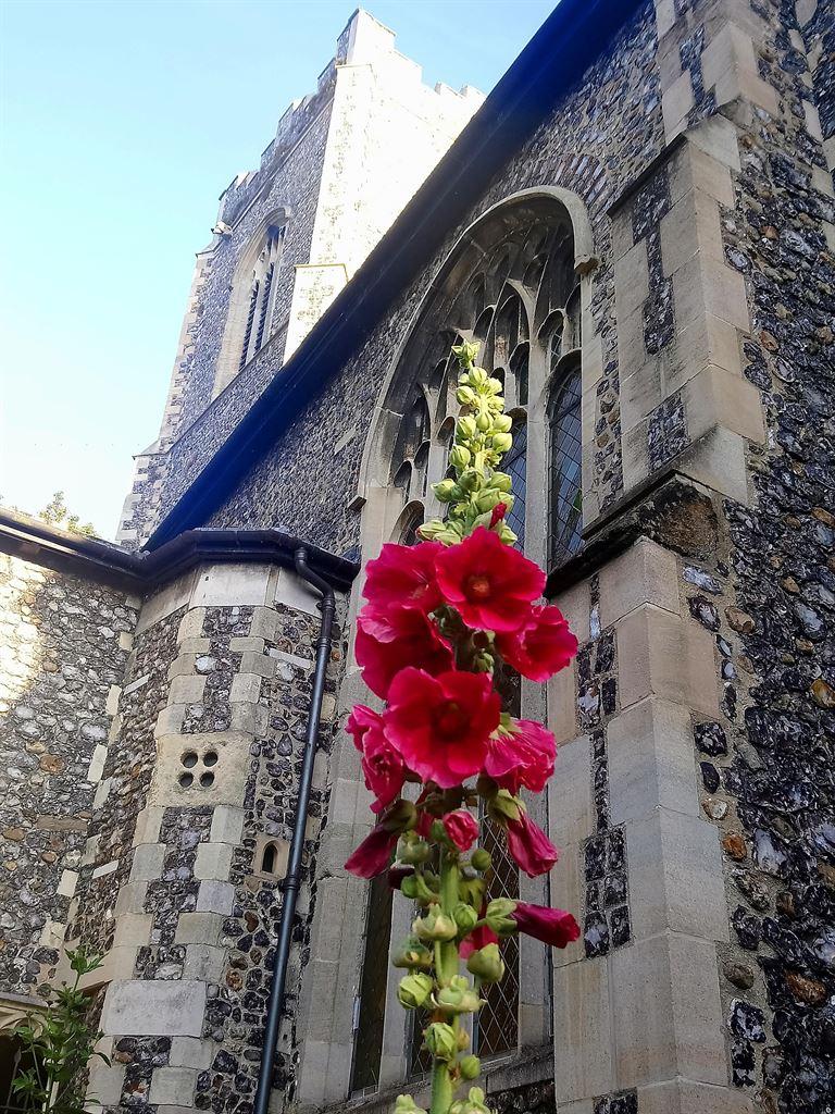 parmentergate