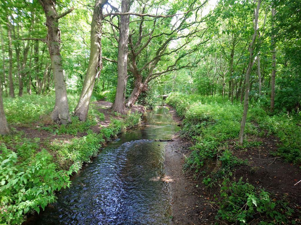 river