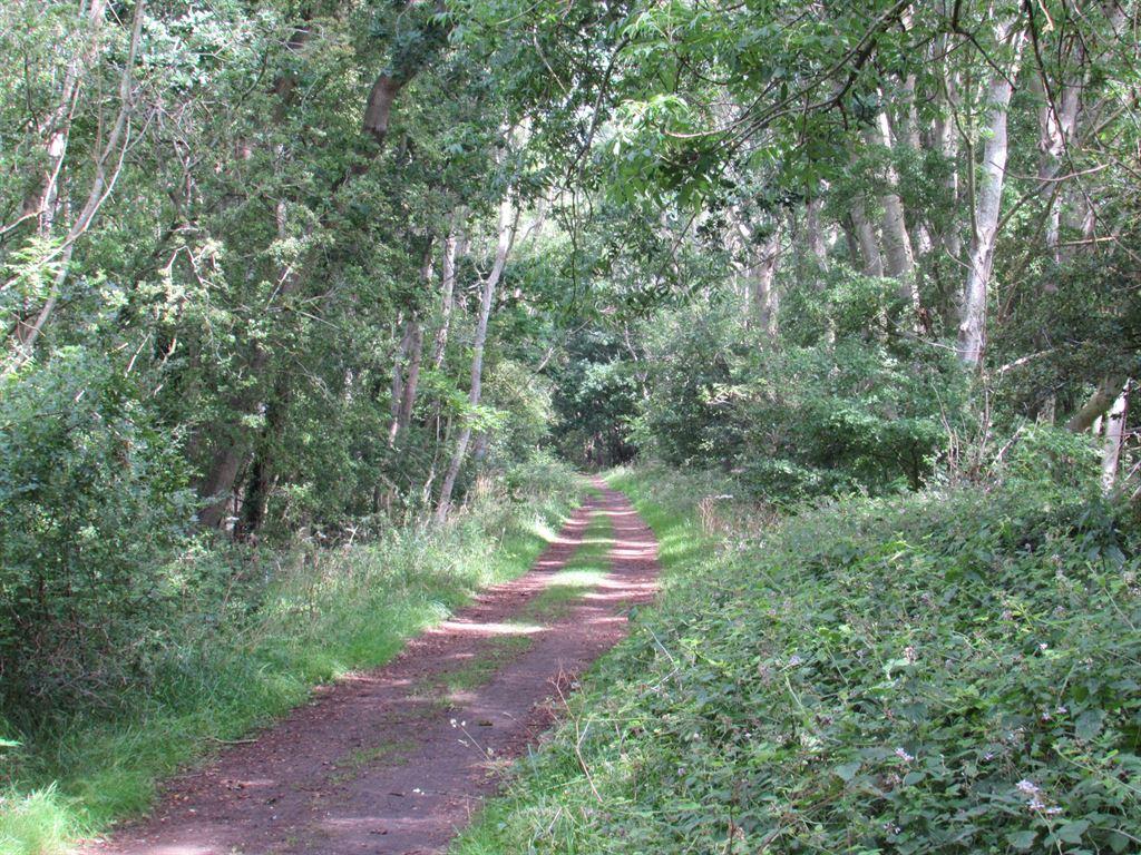 track