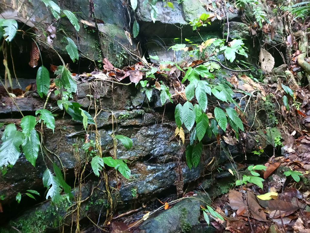 damp