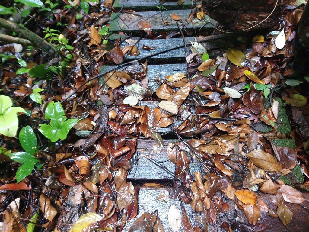 path