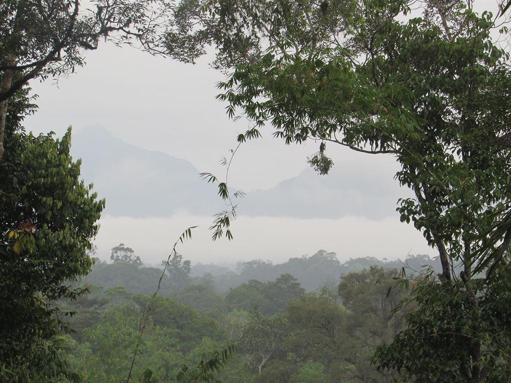 view2