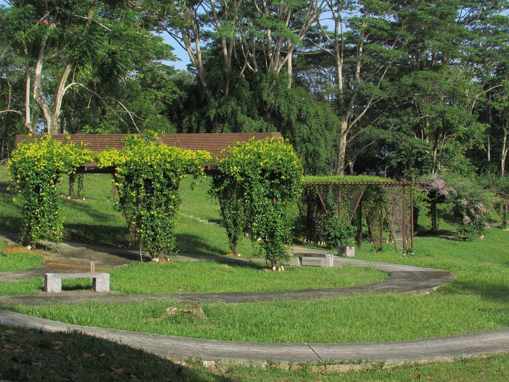 pergola