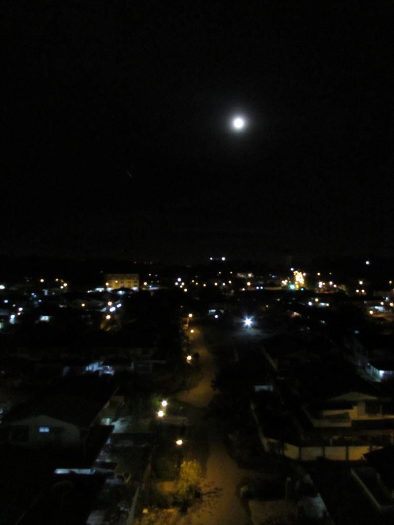 moonlight