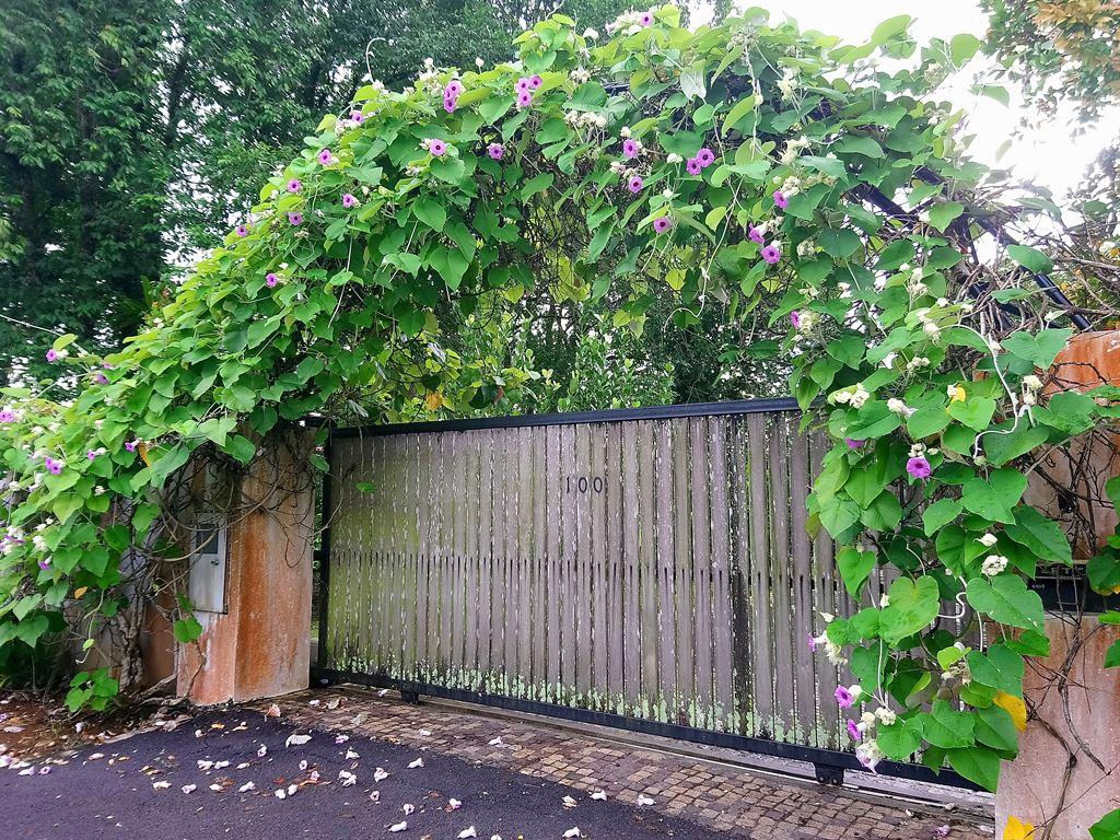 arch2