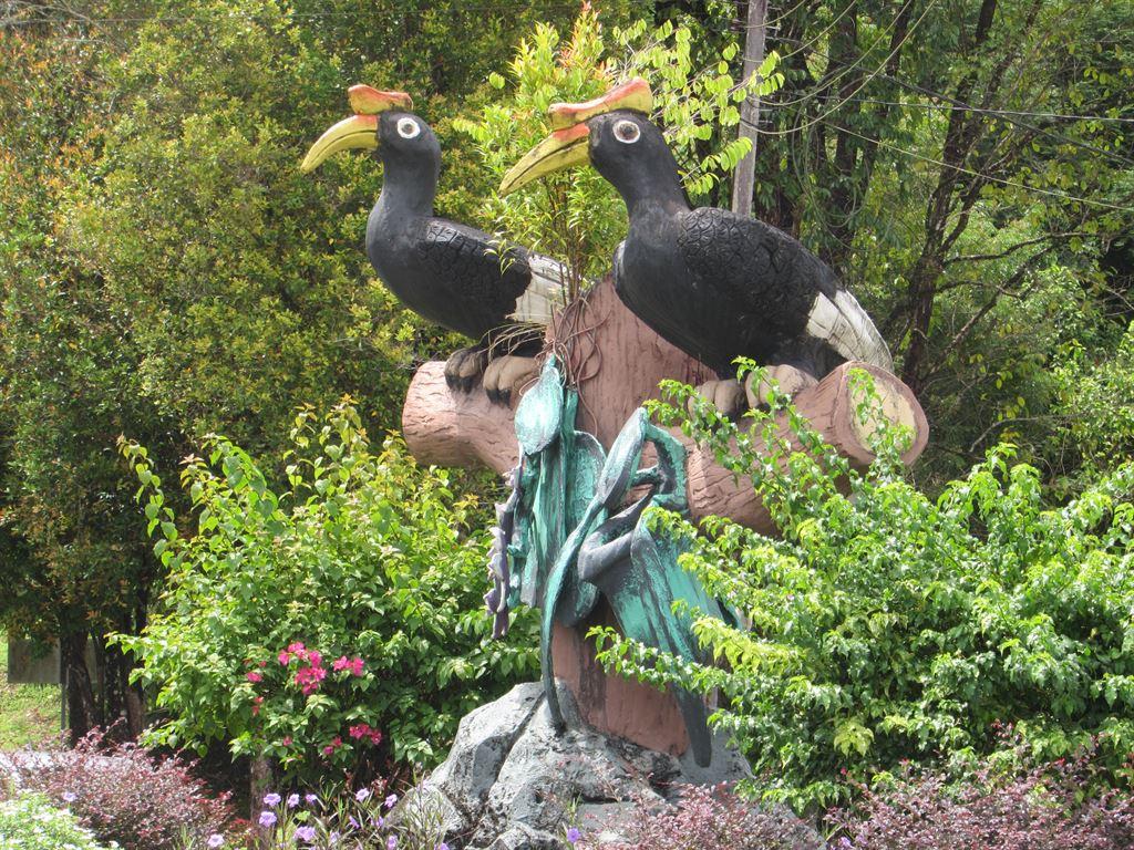 hornbill