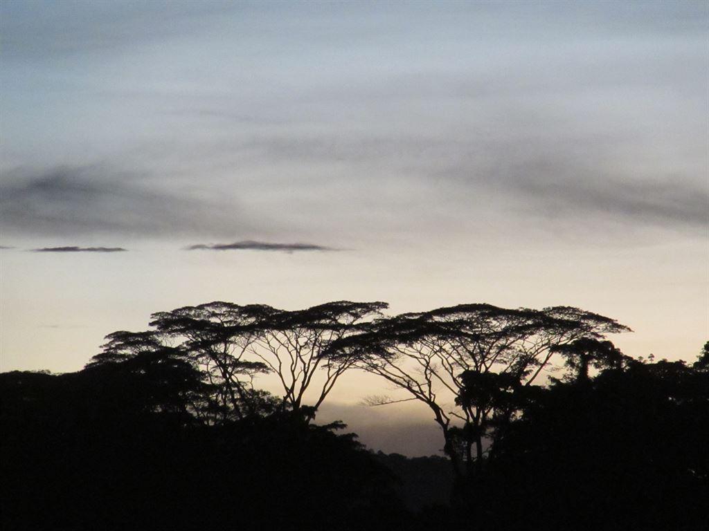 sunsetsilhouette